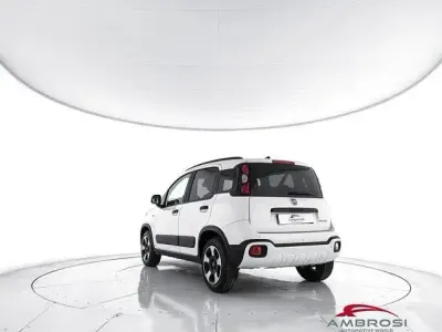 Usata Fiat Panda Cross Cross 70 CV (51 kW) 2024 Bianco Utilitaria