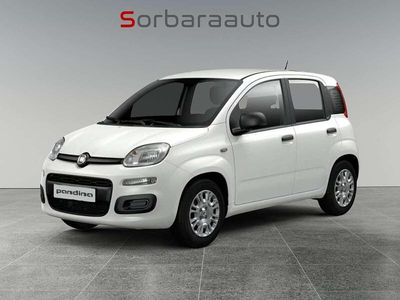 Nuova Fiat Panda Icon 69 CV (50 kW) 2025 Bianco Utilitaria