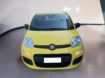 Usata Fiat Panda 69 CV (50 kW) 2025 Giallo Utilitaria