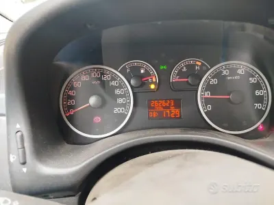 Usata Fiat Punto