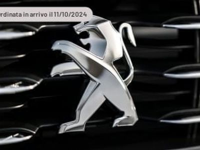 usata Peugeot 308 e-3008 motore elettrico (73kWh) 210 CV GT