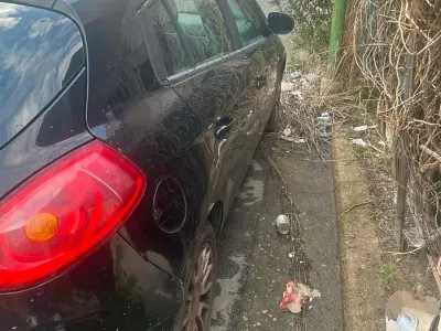 Usata Fiat Bravo