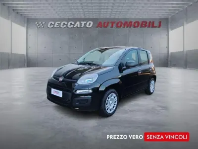 Nuova Fiat Panda Icon 65 CV (47 kW) 2026 Nero Utilitaria