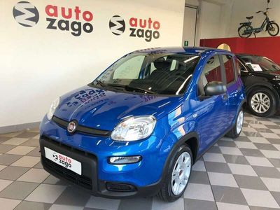 usata Fiat Panda 1.0 firefly Hybrid S&S 70 cv