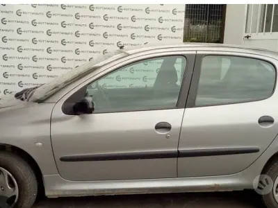 Usata Peugeot 206
