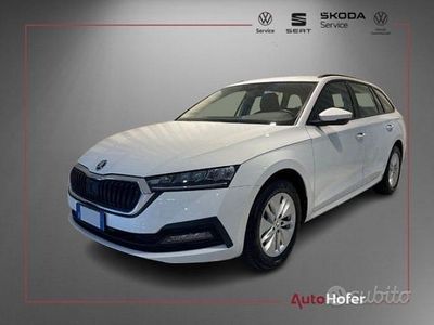 Usata Skoda Octavia Executive 116 CV (85 kW) 2024 Bianco Station wagon
