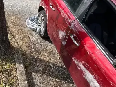 Usata Fiat Bravo