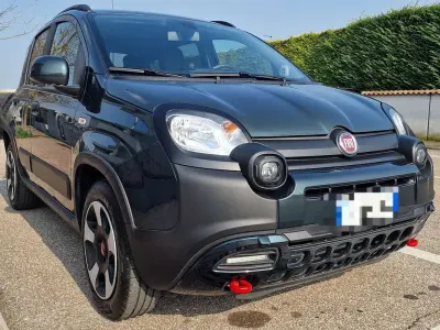 Usata Fiat Panda Cross Cross 69 CV (50 kW) 2024 Verde Utilitaria