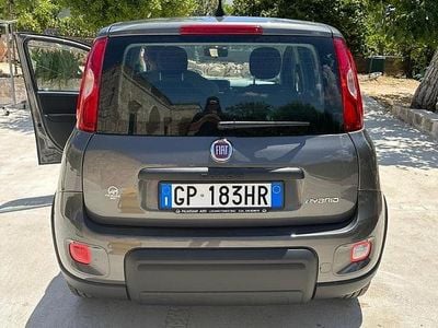 Usata Fiat Panda City Life 70 CV (51 kW) 2023 Grigio Utilitaria