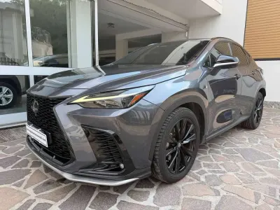 Usata Lexus NX450h+