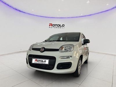 Nuova Fiat Panda Icon 69 CV (50 kW) 2025 Bianco Berlina