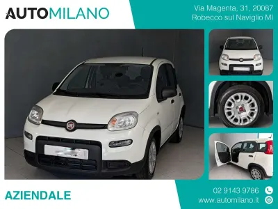 Usata Fiat Panda City Life 70 CV (51 kW) 2023 Bianco Utilitaria