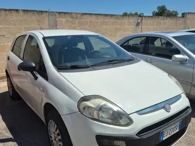 Usata Fiat Punto Evo Emotion 70 CV (51 kW) 2011 Bianco Utilitaria