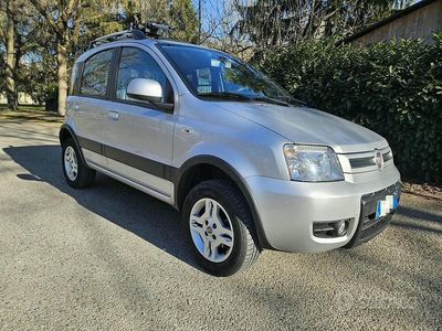 Usata Fiat Panda 4x4 69 CV (50 kW) 2011 Grigio Utilitaria
