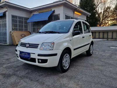 Usata Fiat Panda Dynamic 60 CV (44 kW) 2008 Bianco Utilitaria