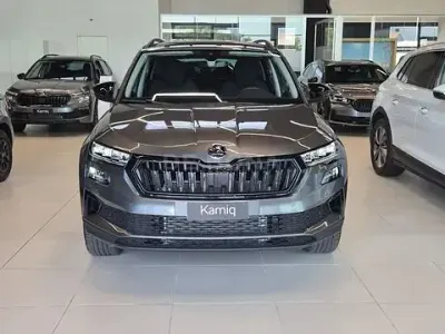 Usata Skoda Karoq