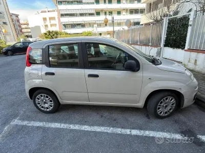 Usata Fiat Panda Easy 69 CV (50 kW) 2017 Utilitaria
