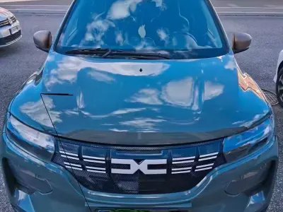 Usata Dacia Spring