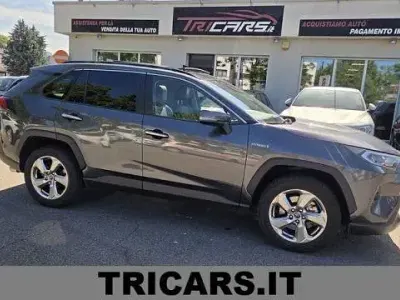 Usata Toyota RAV4 Hybrid Lounge 178 CV (130 kW) 2020 Grigio SUV