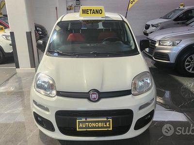 Usata Fiat Panda Easy 71 CV (52 kW) 2020 Bianco Utilitaria