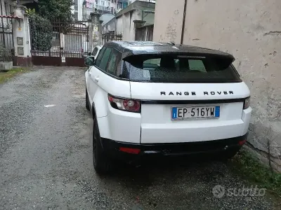 Usata Land Rover Range Rover evoque 150 CV (110 kW) 2013 Bianco SUV