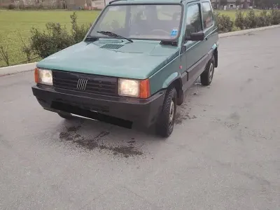 Usata Fiat Panda 4x4 Trekking 54 CV (39 kW) 1998 Verde Utilitaria