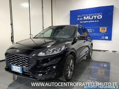 usata Ford Kuga 2.0 ecoblue ST-Line awd 190cv auto 4X4 IVA ESPOSTA