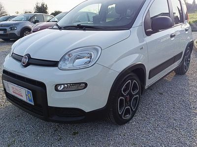 Usata Fiat Panda City Life 69 CV (50 kW) 2022 Bianco Utilitaria
