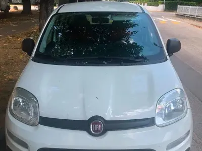 Usata Fiat Panda Lounge 85 CV (62 kW) 2015 Bianco Utilitaria