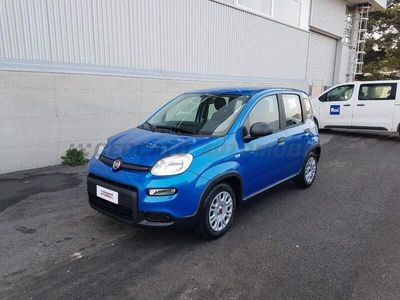 usata Fiat Panda Panda 1.0 70cv hybrid