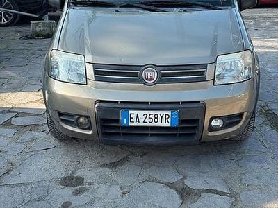 Usata Fiat Panda Dynamic 59 CV (43 kW) 2010 Grigio Berlina