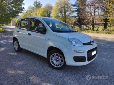 usata Fiat Panda - 2019 - 40.000 km
