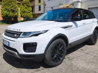 Usata Land Rover Range Rover evoque SE Dynamic 150 CV (110 kW) 2018 Bianco SUV