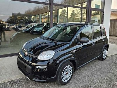 Usata Fiat Panda S 69 CV (50 kW) 2023 Nero Berlina