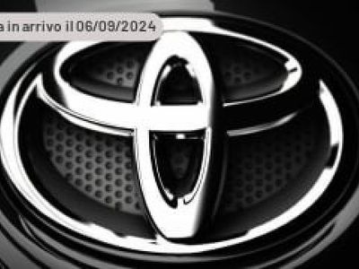 usata Toyota C-HR 1.8 HV Trend