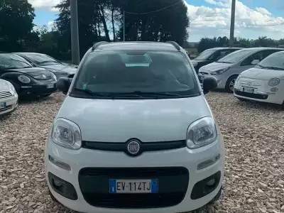 Usata Fiat Panda Lounge 85 CV (62 kW) 2014 Bianco Utilitaria