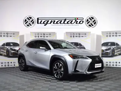 Usado Lexus UX 250h Executive Line 145 CV (106 kW) 2019 Plateado SUV