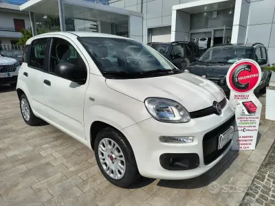 Usata Fiat Panda Easy 69 CV (50 kW) 2020 Bianco Utilitaria