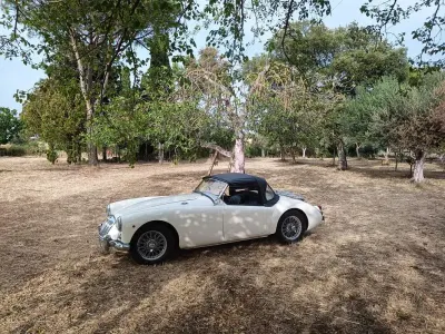 Usata MG MGA 72 CV (52 kW) 1955 Bianco Cabrio
