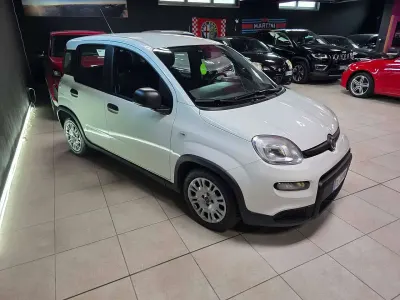 Usata Fiat Panda