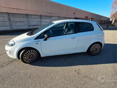Usata Fiat Punto Evo 85 CV (62 kW) 2015 Bianco Utilitaria
