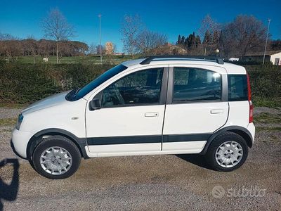 Usata Fiat Panda 4x4 2009 Bianco Utilitaria