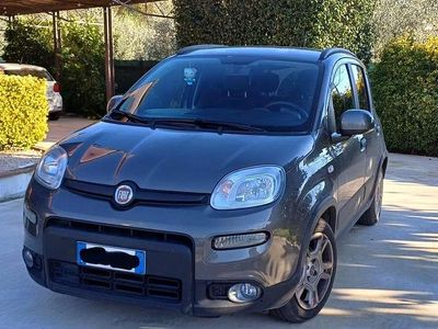 Usata Fiat Panda S 69 CV (50 kW) 2023 Utilitaria