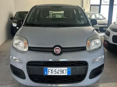 Usata Fiat Panda Lounge 69 CV (50 kW) 2019 Grigio Utilitaria
