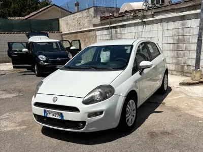 Usata Fiat Punto Evo Active 77 CV (56 kW) 2012 Bianco Utilitaria