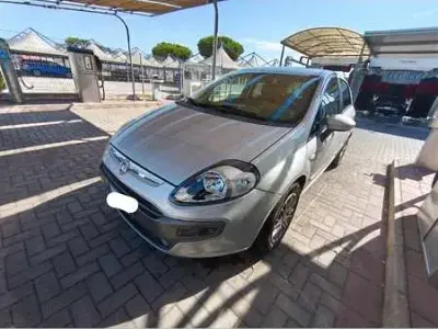 Usata Fiat Punto Evo