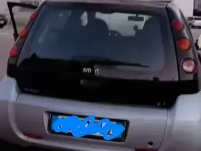 Usata Smart ForFour