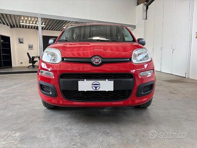Usata Fiat Panda Easy 69 CV (50 kW) 2019 Rosso Utilitaria
