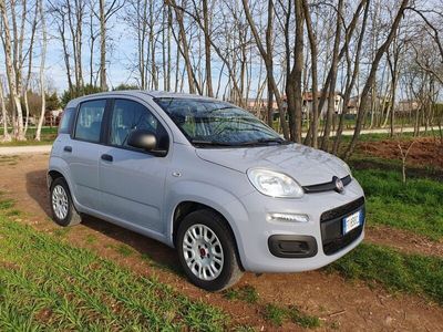 usata Fiat Panda PandaIII 2016 1.2 Lounge 69cv