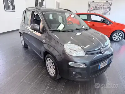 Usata Fiat Panda Lounge 69 CV (50 kW) 2017 Grigio Utilitaria